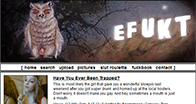eFukt