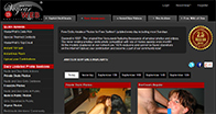 Voyeurweb